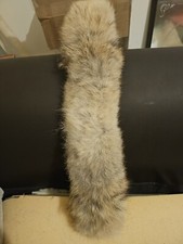 coyote fell kapuzenfutter 