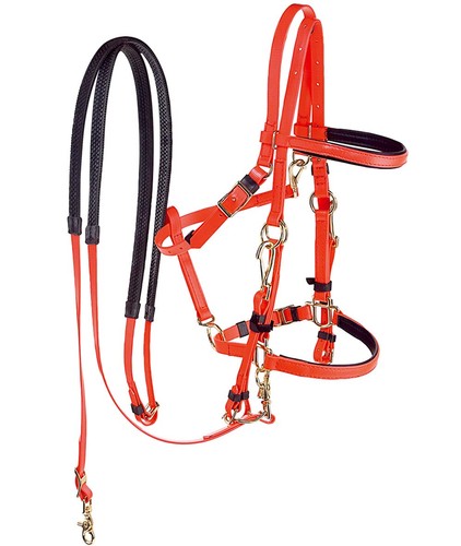 Westernzaum aus pvc - westernzaum,