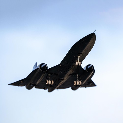 Blackbird twin 40mm bnf - blackbird,
