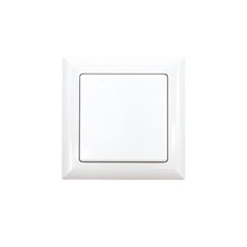 Eltako Funktaster FT55-wg