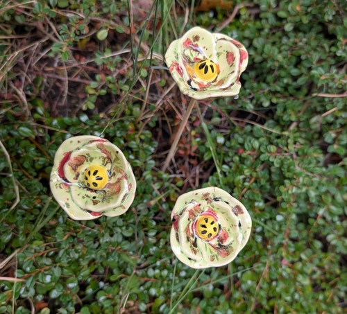 Blüten blümchen mohnblume - blümchen,