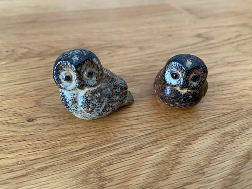 Kleine eulen aus - 2,