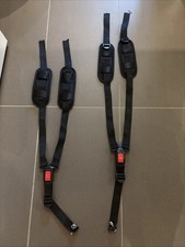 Babboe Lastenrad zwei Dreipunktgurte