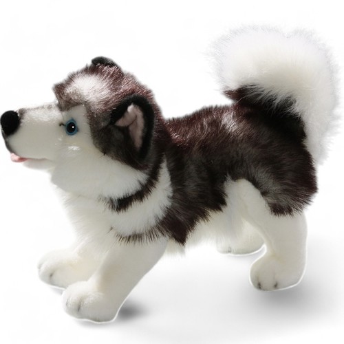 Carl dick husky - dick, stehend