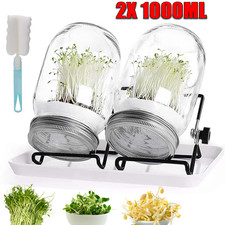 Sprossenglas Keimglas, 2 x