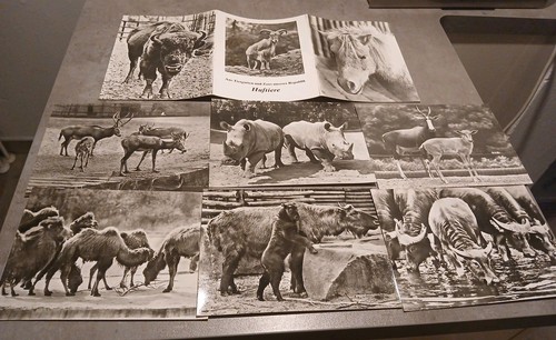 Fotomappe aus tiergärten und - fotomappe,