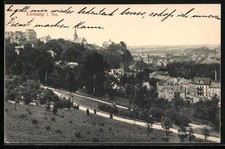 Leisnig i. Sa., Stadtansicht