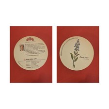 Meckatzer Löwenbräu