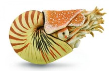 Collecta 88907 Gemeines