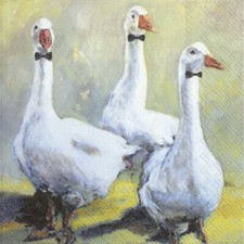 Drei gänse mit fliege - fliege, 3