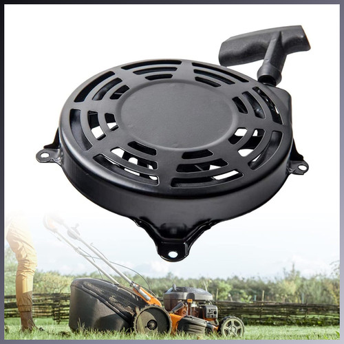 Seilzugstarter briggs stratton - briggs,