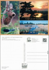 Lewitz Naturschutzgebiet - Teichlewitz, Beutelmeise, Libelle 2005