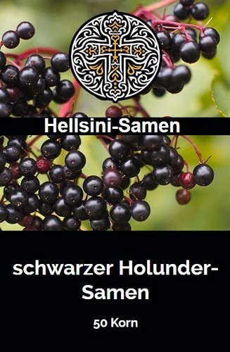 Schwarzer holunder sambucus - schwarzer,