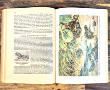 Leitfaden der Tierkunde, Dr. Otto Schmeil, 1949, Schul- und Lehrbuch, Sachbuch