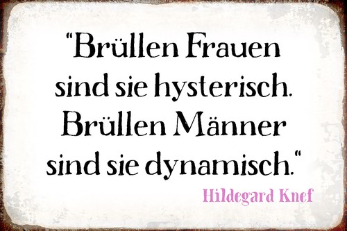 Blechschild 18x12 brüllen - 18x12,