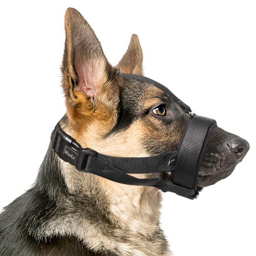 Maulkorb für hund mit - für,