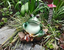 Kantenhocker Frosch und