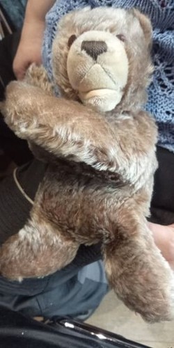 Steiff teddybär plüsch - steiff-teddybär,