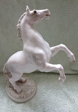Steigender hengst entwurf - steigender, hengst,