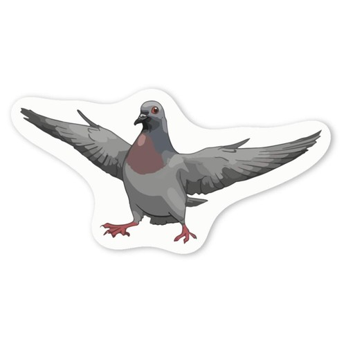 Pigeon with attitude - 'pigeon,