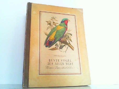 Bunte vögel aus aller - bunte,