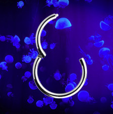 I OHRRING CLICKER 10 mm I Echt