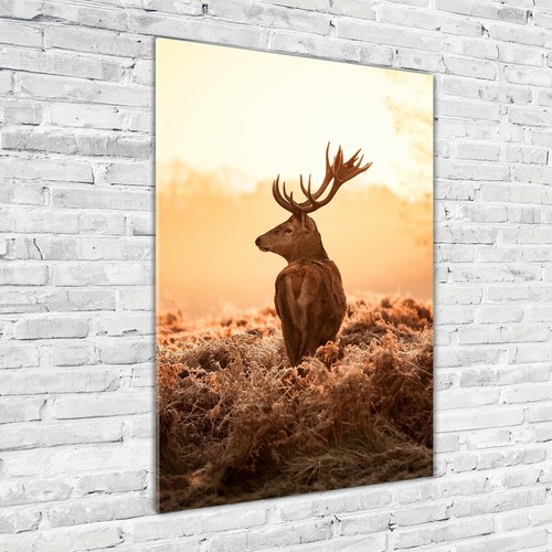 Wand bild kunstdruck aus - wand-bild,