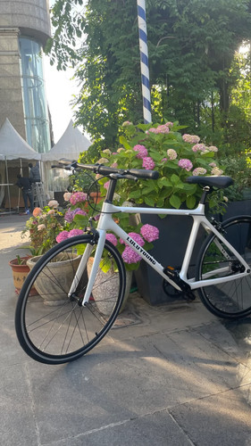 Carbon fahrrad mit riemen - carbon,