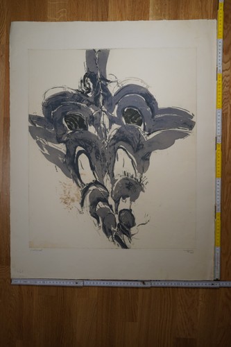 Hann trier merops - trier, –