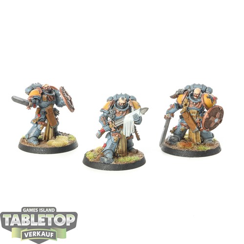 Space wolves 3x bladeguard - wolves,