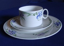 V&B Villeroy & Boch Design