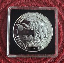 2016 Somalia Elephant Privy 1