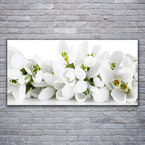 Acrylglasbilder wandbilder - acrylglasbilder,