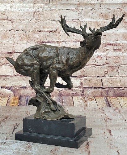 Buck reh elch hirsch - buck, wildtiere