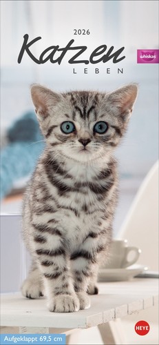 Heye whiskas katzenleben - heye,
