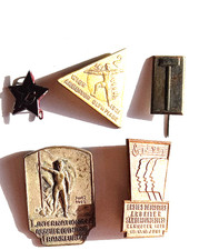 Deutsches Reich/Frankfurt/M/Hannover/Wien, 5 Abzeichen Arbeiterbewegung