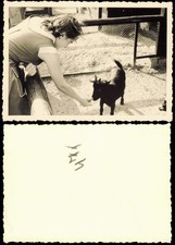 Charlottenburg-Berlin Zoo  Ziege Zicklein füttern 1954 Privatfoto Foto