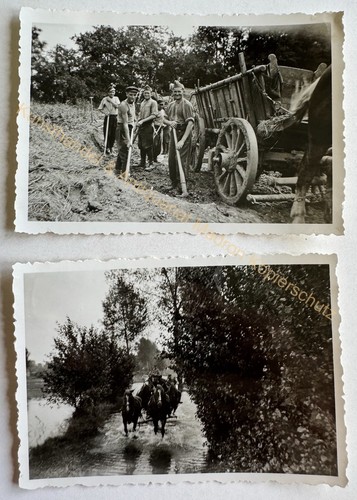 Orig foto konvolut zöschen - orig.,