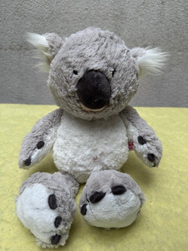 Nici koalabär joey koala wild - nici,