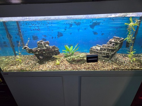 Aquarium komplett set - komplett,