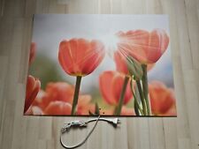 Infrarot Bildheizung Infrarotheizung Wandheizung Heizpaneel 500 Watt