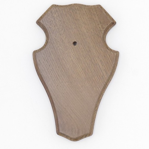Stück reh trophäenschild - 1,