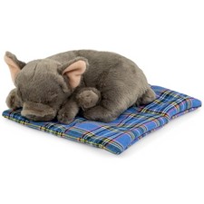 Carl Dick Französische