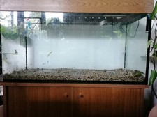 Juwel Aquarium 200l mit Außenfilter JBL CristalProfi 901 gebraucht