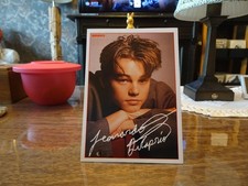 Leonardo dicaprio - leonardo,