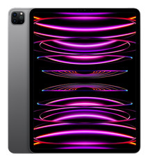 Apple iPad Pro 6 2022  (12,9")