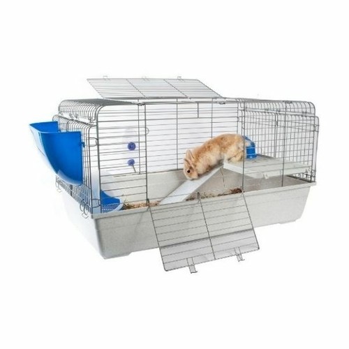 Little zoo roger pioneer - little,