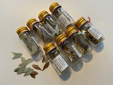 8 x Streudeko Engelsflügel