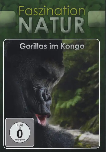 Faszination natur gorillas im - natur:,