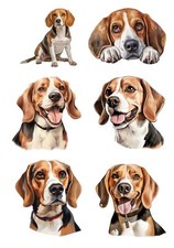 Designer Aufkleber / Sticker /